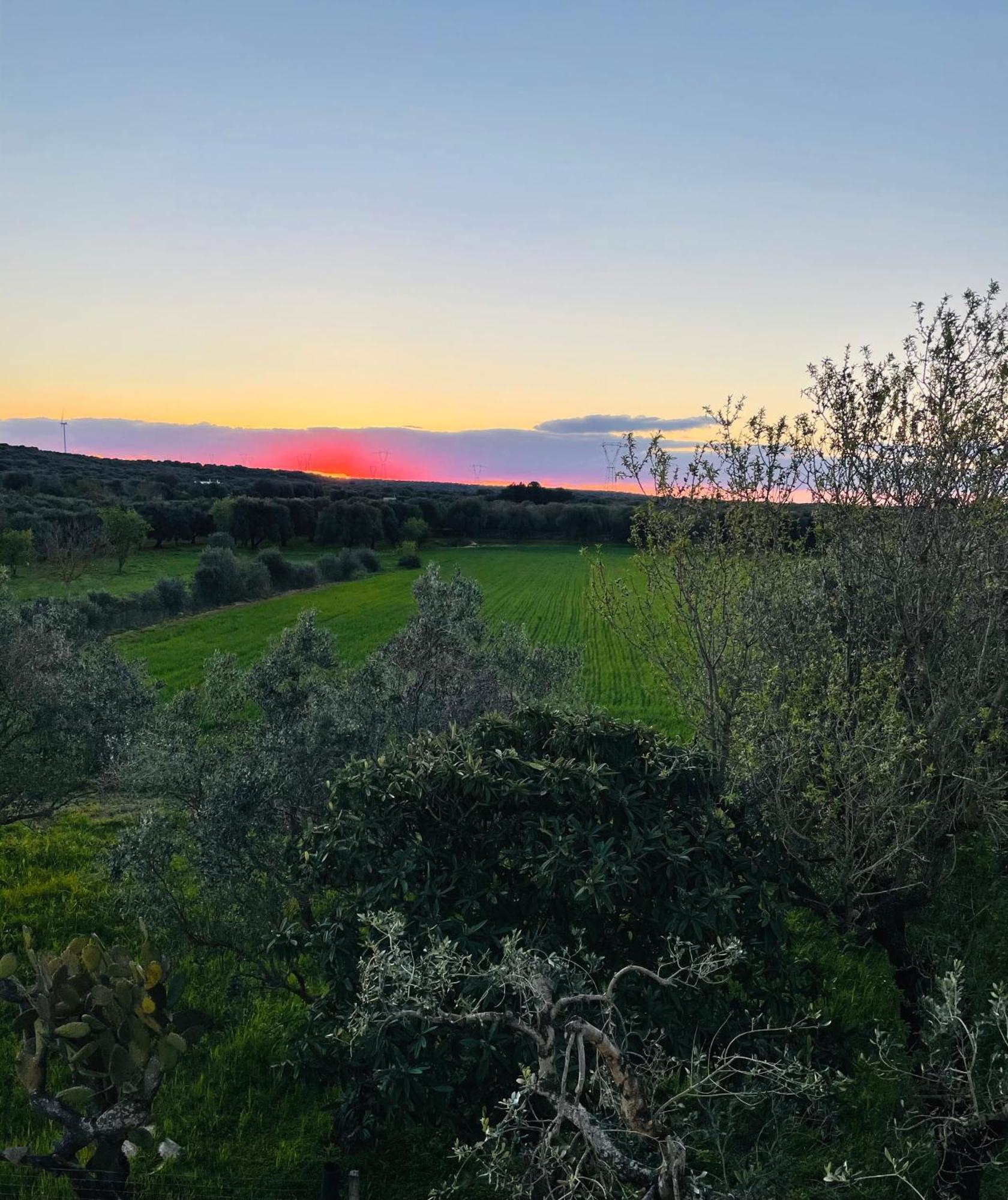 La Nicchia Διαμέρισμα Villa Castelli Εξωτερικό φωτογραφία