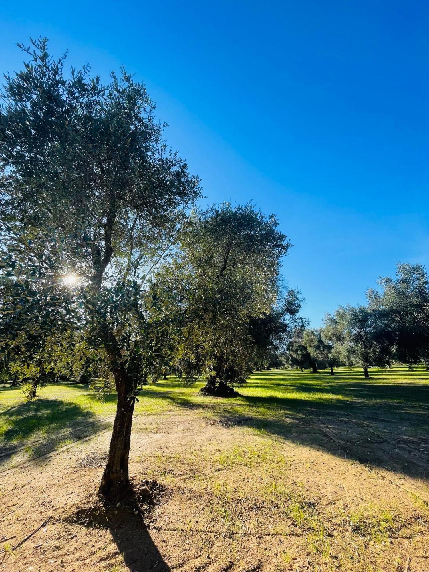 La Nicchia Διαμέρισμα Villa Castelli Εξωτερικό φωτογραφία